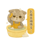 ISFP（冒険家）×スコティッシュフォールド（個別スタンプ：40）