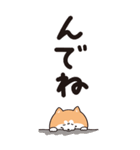 秋田弁 BIGスタンプ（個別スタンプ：3）