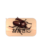 スマホの上のカブトムシ6《関西弁》（個別スタンプ：3）