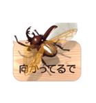 スマホの上のカブトムシ6《関西弁》（個別スタンプ：8）