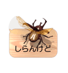 スマホの上のカブトムシ6《関西弁》（個別スタンプ：11）