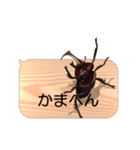 スマホの上のカブトムシ6《関西弁》（個別スタンプ：16）