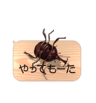 スマホの上のカブトムシ6《関西弁》（個別スタンプ：17）