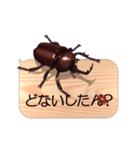 スマホの上のカブトムシ6《関西弁》（個別スタンプ：23）