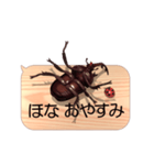 スマホの上のカブトムシ6《関西弁》（個別スタンプ：24）
