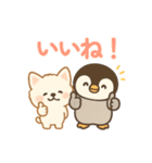 ほっこりなかよし ふわぺんわんこ（個別スタンプ：13）