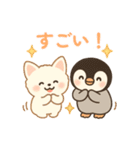ほっこりなかよし ふわぺんわんこ（個別スタンプ：14）