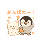 ほっこりなかよし ふわぺんわんこ（個別スタンプ：17）
