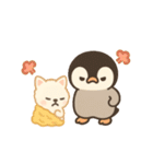 ほっこりなかよし ふわぺんわんこ（個別スタンプ：36）