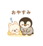 ほっこりなかよし ふわぺんわんこ（個別スタンプ：37）