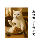 お猫様の吹き出しスタンプ2（個別スタンプ：4）