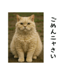 お猫様の吹き出しスタンプ2（個別スタンプ：6）