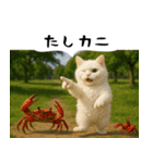お猫様の吹き出しスタンプ2（個別スタンプ：9）