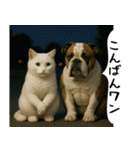 お猫様の吹き出しスタンプ2（個別スタンプ：21）
