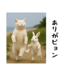 お猫様の吹き出しスタンプ2（個別スタンプ：22）