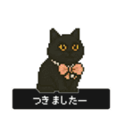 ドット猫のかわいいスタンプ（個別スタンプ：16）