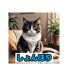 表情40変！ネコ劇場 【17】（個別スタンプ：3）