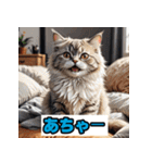 表情40変！ネコ劇場 【17】（個別スタンプ：11）