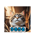 表情40変！ネコ劇場 【17】（個別スタンプ：12）