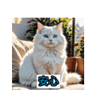 表情40変！ネコ劇場 【17】（個別スタンプ：15）