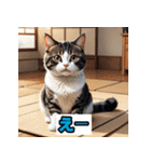 表情40変！ネコ劇場 【17】（個別スタンプ：30）