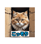 表情40変！ネコ劇場 【17】（個別スタンプ：33）