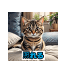 表情40変！ネコ劇場 【17】（個別スタンプ：40）