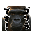ウッホウッホ頑張るゴリラ【爆笑・面白い】（個別スタンプ：10）