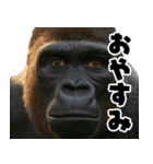 ウッホウッホ頑張るゴリラ【爆笑・面白い】（個別スタンプ：18）