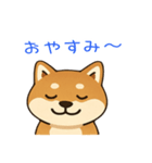 『毎日使える♪』柴犬スタンプ（個別スタンプ：2）