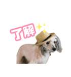 チャイクレのチビ（個別スタンプ：7）