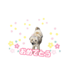チャイクレのチビ（個別スタンプ：13）