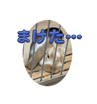 うさぎのロッピー 応援ver（個別スタンプ：2）