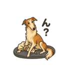 犬と犬と犬と犬のスタンプ（個別スタンプ：1）