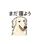 犬と犬と犬と犬のスタンプ（個別スタンプ：3）