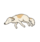 犬と犬と犬と犬のスタンプ（個別スタンプ：4）