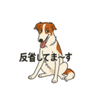 犬と犬と犬と犬のスタンプ（個別スタンプ：5）