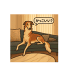 犬と犬と犬と犬のスタンプ（個別スタンプ：6）