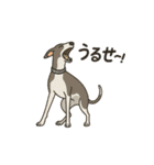 犬と犬と犬と犬のスタンプ（個別スタンプ：9）