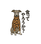 犬と犬と犬と犬のスタンプ（個別スタンプ：11）