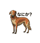 犬と犬と犬と犬のスタンプ（個別スタンプ：12）