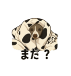 犬と犬と犬と犬のスタンプ（個別スタンプ：17）