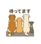 犬と犬と犬と犬のスタンプ（個別スタンプ：18）