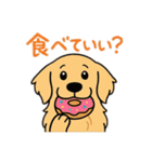 犬と犬と犬と犬のスタンプ（個別スタンプ：23）