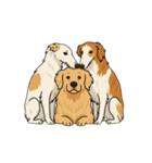 犬と犬と犬と犬のスタンプ（個別スタンプ：25）