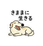 犬と犬と犬と犬のスタンプ（個別スタンプ：30）