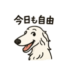 犬と犬と犬と犬のスタンプ（個別スタンプ：31）