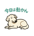 犬と犬と犬と犬のスタンプ（個別スタンプ：32）