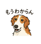 犬と犬と犬と犬のスタンプ（個別スタンプ：34）