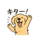 犬と犬と犬と犬のスタンプ（個別スタンプ：38）